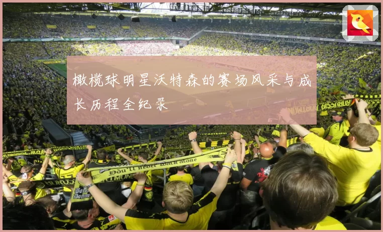 橄榄球明星沃特森的赛场风采与成长历程全纪录